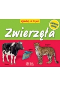 Zwierzęta