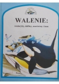 Walenie: wieloryby, delfiny, morświny i inne