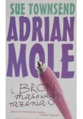 Adrian Mole i broń masowego rażenia