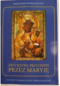 Zwycięstwo przychodzi przez Maryję