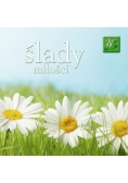 Ślady miłości