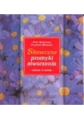 Słoneczne promyki stworzenia