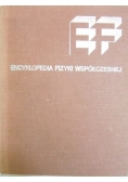 Encyklopedia fizyki współczesnej