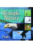 Dźwięki natury