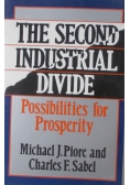 The Second industrial divide