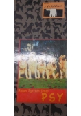Psy