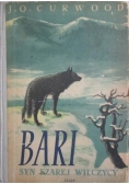 Bari, syn Szarej Wilczycy