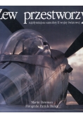 Zew przestworzy Najsłynniejsze samoloty II wojny światowej