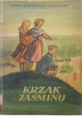 Krzak jaśminu