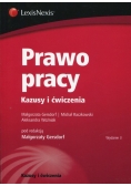 Prawo pracy Kazusy i ćwiczenia