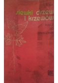 Siewki drzew i krzewów