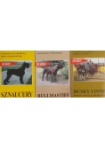 Hobby, zestaw 3 książek