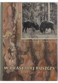W prastarej puszczy