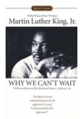 Why we can't wait