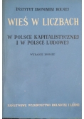 Wieś w liczbach