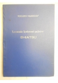 Leczenie końcami palców. Shiatsu