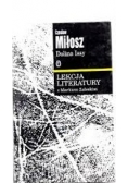 Lekcja literatury