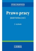 Prawo konstytucyjne, wydanie 3