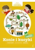 Moje pierwsze ćwiczenia Konie i kucyki