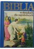 Biblia w obrazkach dla najmłodszych