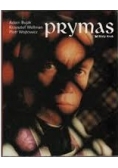 Prymas