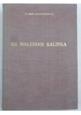 Ks. Walerian Kalinka. Życie i działalność