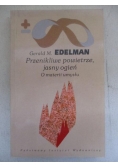 Przenikliwe powietrze, jasny ogień.  O materii umysłu