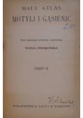 Mały atlas motyli i gąsienic, 1926r