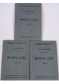 Hrabina Cosel, Tom I-III, 1914 r.