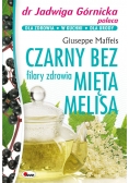 Czarny bez mięta melisa filary zdrowia