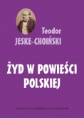 Żyd w powieści Polskiej