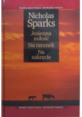 Jesienna miłość. Na ratunek. Na zakręcie