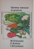 Uprawa warzyw w gruncie