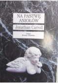 Na pastwę aniołów