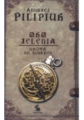 Oko Jelenia - Droga do Nidaros