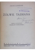 Żółwie Tasmana, 1927 r.