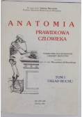 Anatomia prawidłowa człowieka, t. I