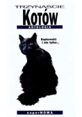 Trzynaście kotów Antologia