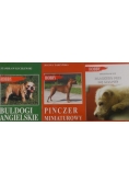 Hobby, zestaw 3 książek