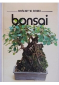 Rośliny w domu Bonsai