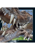 Pocztówka 3D Krokodyl