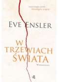 W trzewiach świata, Nowa
