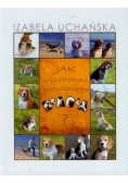 Jak wychować posłusznego beagla