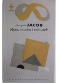 Mysz, mucha i człowiek