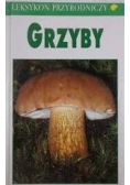 Grzyby leksykon przyrodniczy