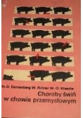 Choroby świń w chowie przemysłowym
