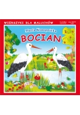 Bocian