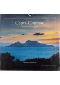 Capri-Capreae. Photographs
