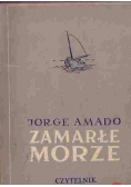 Zamarłe morze