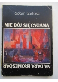 Nie bój się cygana